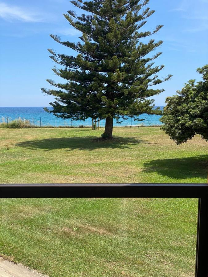 Appartement N 216 Moriani Plage Santa-Lucia-di-Moriani Eksteriør bilde