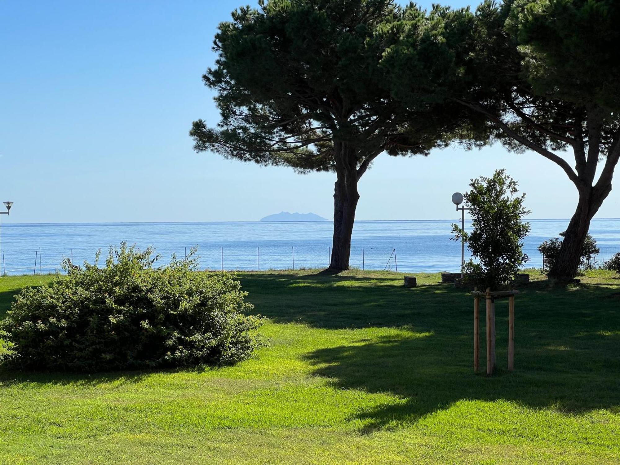 Appartement N 216 Moriani Plage Santa-Lucia-di-Moriani Eksteriør bilde