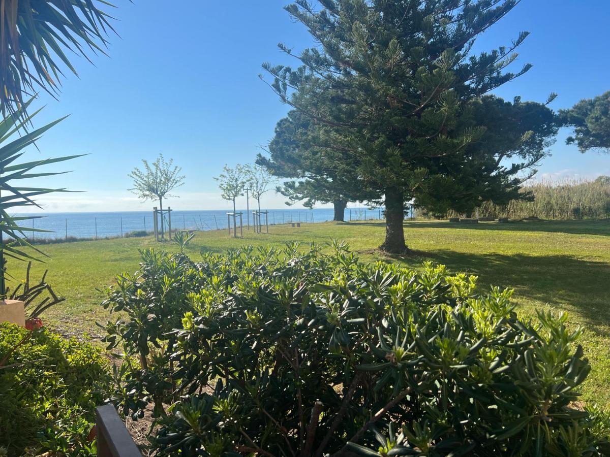 Appartement N 216 Moriani Plage Santa-Lucia-di-Moriani Eksteriør bilde